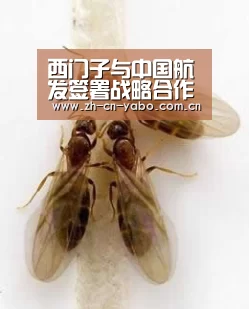 亚博平台