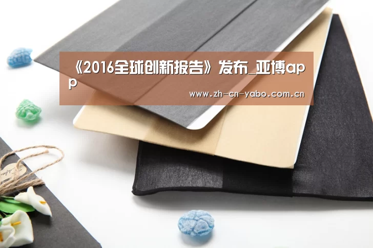 《2016全球创新报告》发布_亚博app(图2) 亚博官网