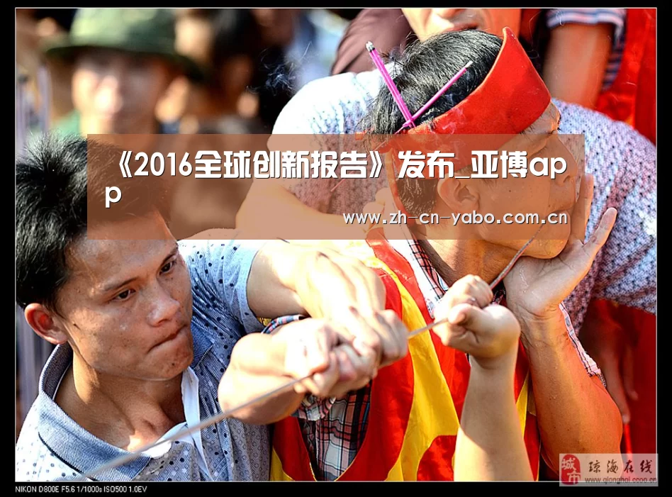 《2016全球创新报告》发布_亚博app(图3) 亚博官网