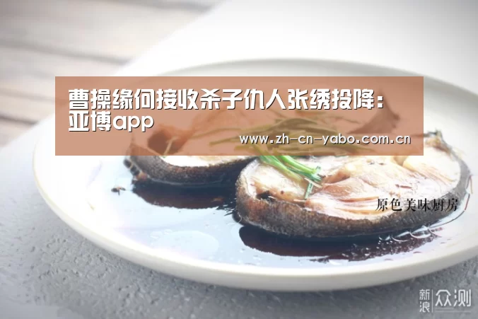 曹操缘何接收杀子仇人张绣投降:亚博app(图4) 亚博app